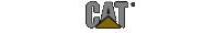Caterpillar